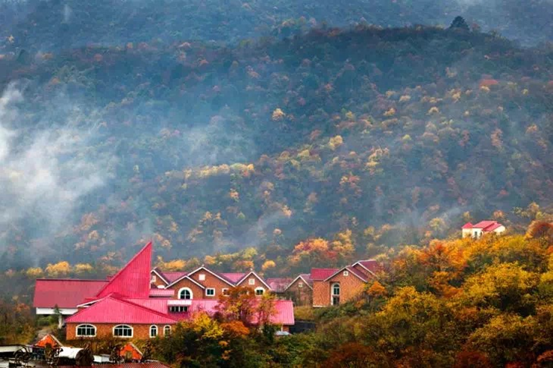 1540539699862059939.png image.png