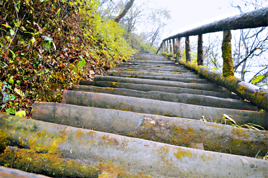 1540539857488073121.png image.png