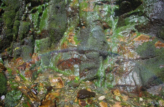 1540539885086021617.png image.png