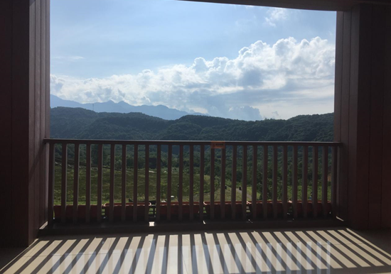 1540539932105038472.png image.png