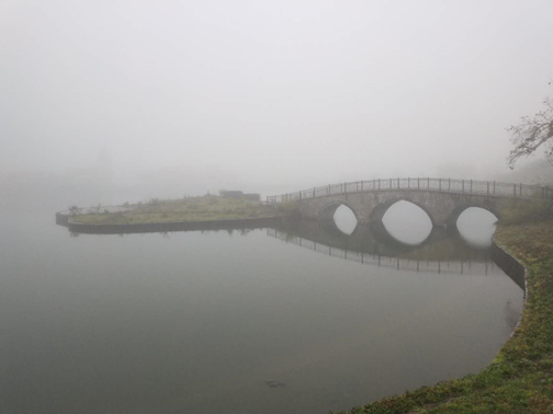 1540540133443021436.png image.png