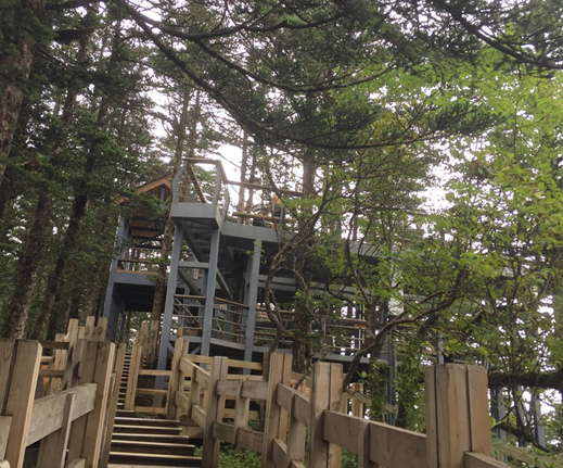 1540540222310034743.png image.png