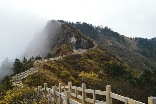 1540540285549028390.png image.png