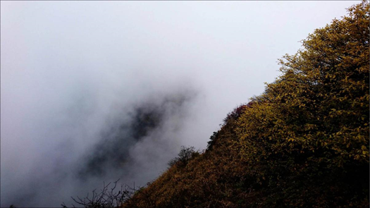 1540540326924096611.png image.png