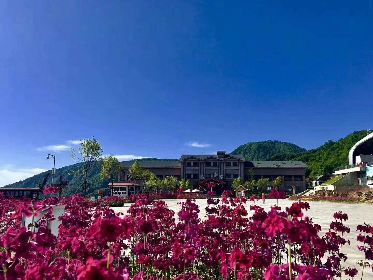 報(bào)春花開 美麗自來(lái)